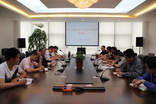 开云手机平台召开学习上海市第十次党代表大会精神座谈会