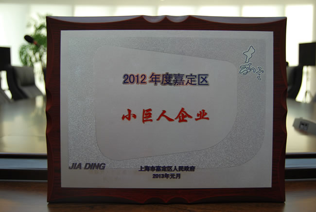 2012年度嘉定区小巨人企业 奖牌