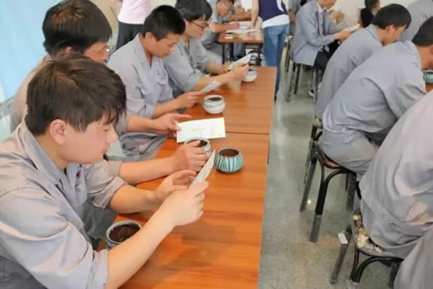 华亭镇团委联合上海沪工阀门厂开展微景观绿植DIY活动（图3）