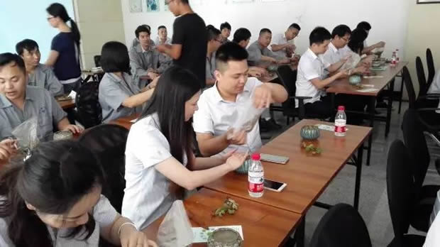 华亭镇团委联合上海沪工阀门厂开展微景观绿植DIY活动（图7）